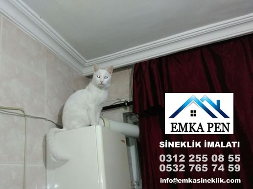 Ankara Kedi Sinekliği